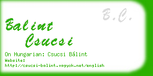 balint csucsi business card