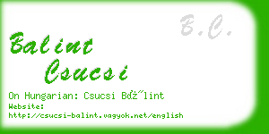 balint csucsi business card